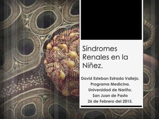 Síndromes
Renales en la
Niñez.
David Esteban Estrada Vallejo.
Programa Medicina.
Universidad de Nariño.
San Juan de Pasto
26 de Febrero del 2015.
 