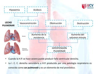 Hipoxemia Acidosis 
LECHO Vasoconstricción Obstrucción 
Destrucción 
Aumento de la 
resistencia 
Aumento del 
volumen minuto 
PULMONAR 
HIPERTENSIÓN 
PULMONAR 
• Cuando la H.P. se hace severa puede producir falla ventricular derecha. 
• La I. C. C. derecha secundaria a H.P. producida por una patología respiratoria es 
conocida como cor pulmonale y es un elemento de mal pronóstico. 
 