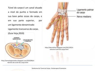 Túnel do carpo é um canal situado
a nível do punho e formado em
sua base pelos ossos do carpo, e
em sua parte superior, por
um ligamento denominado
Ligamento transverso do carpo.
(Guia Veja,2010)
http://semiologiamedica.blogspot.com/2010/06/si
ndrome-do-tunel-do-carpo.html
http://dennisfisio.blogspot.com/2011/02/si
ndrome-tunel-do-carpo.html
Síndrome do Túnel do Carpo. Fisioterapia 6°semestre
 