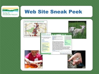 Web Site Sneak Peek 