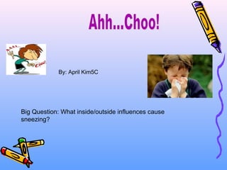 Big Question: What inside/outside influences cause
sneezing?
By: April Kim5C
 