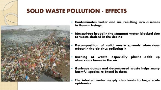effects of solid waste