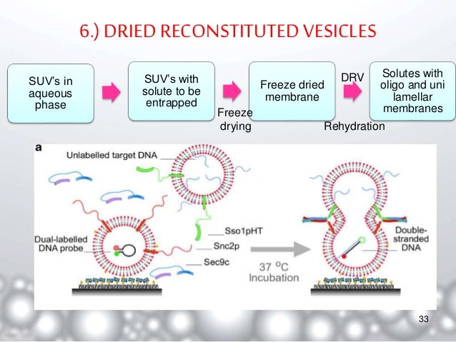 Liposomes- A Novel Drug Delivery System
