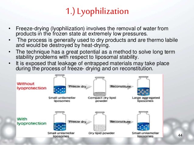 Liposomes A Novel Drug Delivery System
