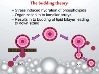 The budding theory 
– Stress induced hydration of phospholipids 
– Organization in to lamellar arrays 
– Results in to budding of lipid bilayer leading 
to down sizing 
SUV OLV 
13 
 