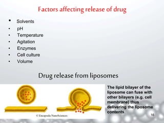 Factors affecting release of drug 
• Solvents 
• pH 
• Temperature 
• Agitation 
• Enzymes 
• Cell culture 
• Volume 
Drug release from liposomes 
• The lipid bilayer of the 
liposome can fuse with 
other bilayers (e.g. cell 
membrane) thus 
delivering the liposome 
contents. 
16 
 
