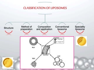 CLASSIFICATION OF LIPOSOMES 
Structure 
Method of 
preparation 
Composition 
and application 
Conventional 
liposome 
Speciality 
liposome 
17 
 