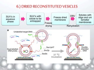 6.) DRIED RECONSTITUTED VESICLES 
SUV’s in SUV’s with 
DRV 
Freeze dried 
aqueous 
solute to be 
membrane 
phase 
entrapped 
Solutes with 
oligo and uni 
lamellar 
Freeze membranes 
drying Rehydration 
33 
 