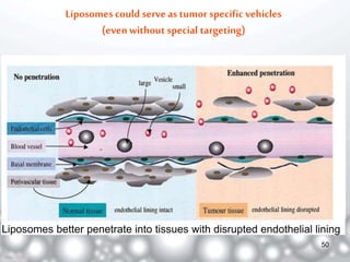 Liposomes could serve as tumor specific vehicles 
(even without special targeting) 
Liposomes better penetrate into tissues with disrupted endothelial lining 
50 
 