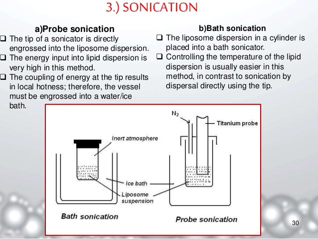 Snehal liposomes pressure temperature phase diagram 