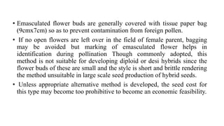 • Emasculated flower buds are generally covered with tissue paper bag
(9cmx7cm) so as to prevent contamination from foreign pollen.
• If no open flowers are left over in the field of female parent, bagging
may be avoided but marking of emasculated flower helps in
identification during pollination Though commonly adopted, this
method is not suitable for developing diploid or desi hybrids since the
flower buds of these are small and the style is short and brittle rendering
the method unsuitable in large scale seed production of hybrid seeds.
• Unless appropriate alternative method is developed, the seed cost for
this type may become too prohibitive to become an economic feasibility.
 