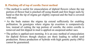 B. Pinching off of top of corolla /Surat method
• The method is useful for emasculation of diploid flowers where the top
portion of flower bud is pinched off using thumb and first finger nails by
hand so that the tip of stigma get slightly exposed and the bud is covered
with mud.
• As the buds mature the stigma tip extend sufficiently for enabling
pollination. In genotypes where stigma tip exsertion is comparatively
low, instead of cutting the top portion of corolla, the entire corolla is
removed and lint dipped in mud is applied on unopened anther sacs.
• The pollen is applied next morning. It is an easy method of emasculation
for diploid flowers though chances are there leading to selfed seed
production. Hence production of hybrids with high genetic purity (90%)
cannot be guaranteed.
 