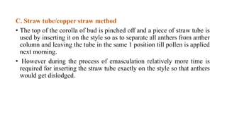 C. Straw tube/copper straw method
• The top of the corolla of bud is pinched off and a piece of straw tube is
used by inserting it on the style so as to separate all anthers from anther
column and leaving the tube in the same 1 position till pollen is applied
next morning.
• However during the process of emasculation relatively more time is
required for inserting the straw tube exactly on the style so that anthers
would get dislodged.
 