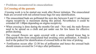• Problems encountered in emasculation:
2) Crossing of the parents
Crossing work is to be started one week after flower initiation. The emasculated
buds are covered with red colored tissue bags for easy identification.
• The emasculated buds are pollinated the next day between 8 and 11 am because
stigma receptivity is maximum during this period. Nevertheless it could be
extended till 1.00pm depending on stigma receptivity.
• When crossing is done during the months Oct and – Nov end, the male flowers
need to be spread on a cloth and put under sun for few hours for effective
pollen dusting.
• The crossed flowers are again covered with a white colored tissue bag to
distinguish them from emasculated bud awaiting cross pollination. A thread is
tied to the pedicel for identification of crossed bolls at the time of picking.
• Fertilization occurs after 12-30 hrs of pollination and hence the crossed buds
should remain covered for 3-4 days after pollination.
 
