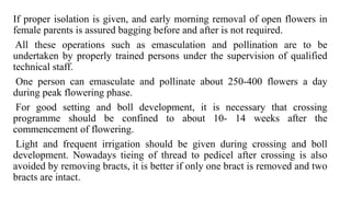 If proper isolation is given, and early morning removal of open flowers in
female parents is assured bagging before and after is not required.
All these operations such as emasculation and pollination are to be
undertaken by properly trained persons under the supervision of qualified
technical staff.
One person can emasculate and pollinate about 250-400 flowers a day
during peak flowering phase.
For good setting and boll development, it is necessary that crossing
programme should be confined to about 10- 14 weeks after the
commencement of flowering.
Light and frequent irrigation should be given during crossing and boll
development. Nowadays tieing of thread to pedicel after crossing is also
avoided by removing bracts, it is better if only one bract is removed and two
bracts are intact.
 