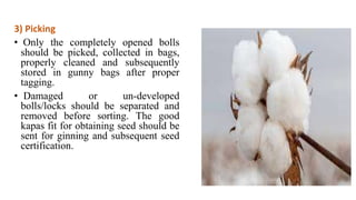 3) Picking
• Only the completely opened bolls
should be picked, collected in bags,
properly cleaned and subsequently
stored in gunny bags after proper
tagging.
• Damaged or un-developed
bolls/locks should be separated and
removed before sorting. The good
kapas fit for obtaining seed should be
sent for ginning and subsequent seed
certification.
 