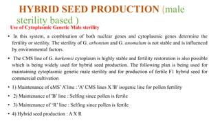 HYBRID SEED PRODUCTION (male
sterility based )
Use of Cytoplasmic Genetic Male sterility
• In this system, a combination of both nuclear genes and cytoplasmic genes determine the
fertility or sterility. The sterility of G. arboreum and G. anomalum is not stable and is influenced
by environmental factors.
• The CMS line of G. harkensii cytoplasm is highly stable and fertility restoration is also possible
which is being widely used for hybrid seed production. The following plan is being used for
maintaining cytoplasmic genetic male sterility and for production of fertile F1 hybrid seed for
commercial cultivation
• 1) Maintenance of eMS’A’line : 'A' CMS lines X 'B' isogenic line for pollen fertility
• 2) Maintenance of 'B’ line : Selfing since pollen is fertile
• 3) Maintenance of ‘R’ line : Selfing since pollen is fertile
• 4) Hybrid seed production : A X R
 