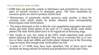 Use of Genetic male sterility
• GMS lines are generally simple in inheritance and controlled by one or two
pairs of nuclear recessive or dominant genes. The lines controlled by
recessive genes are used to produce hybrid seed.
• Maintenance of genetically double recessive male sterility is done by
crossing male sterile plants by pollen obtained from corresponding
heterozygous male fertile plants.
• The major drawback in this is that the cross population segregates into male
sterile and male fertile plants in the ratio of 1:1 (male sterile: male fertile
plants) The male fertile plants have to be rogued out at flowering stage.
• This results in very low stand of the (50% stand reduction) male sterile
plants reducing the hybrid seed yield. One way to overcome this is to sow
two or three seeds per dibble and fertile plants thinned out at the flowering
stage to ensure that enough male sterile plants are left.
• A total of 17 GMS lines have been identified. Out of these ms14 and
ms5ms6 are being utilized for hybrid seed production in India and China.
 