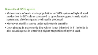Demerits of GMS system
• Maintenance of male sterile population in GMS system of hybrid seed
production is difficult as compared to cytoplasmic genetic male sterile
system and also less quantity of seed is produced.
• Moreover, sterility source under reference is unstable.
• Low ginning in male sterile line which is not inherited in F1 hybrids is
also advantageous in obtaining higher proportion of hybrid seed.
 