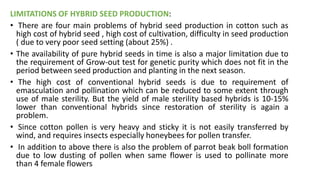 LIMITATIONS OF HYBRID SEED PRODUCTION:
• There are four main problems of hybrid seed production in cotton such as
high cost of hybrid seed , high cost of cultivation, difficulty in seed production
( due to very poor seed setting (about 25%) .
• The availability of pure hybrid seeds in time is also a major limitation due to
the requirement of Grow-out test for genetic purity which does not fit in the
period between seed production and planting in the next season.
• The high cost of conventional hybrid seeds is due to requirement of
emasculation and pollination which can be reduced to some extent through
use of male sterility. But the yield of male sterility based hybrids is 10-15%
lower than conventional hybrids since restoration of sterility is again a
problem.
• Since cotton pollen is very heavy and sticky it is not easily transferred by
wind, and requires insects especially honeybees for pollen transfer.
• In addition to above there is also the problem of parrot beak boll formation
due to low dusting of pollen when same flower is used to pollinate more
than 4 female flowers
 