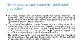 Honey bees as a pollinators in hybrid seed
production
• In cotton, insects are the natural agents for pollen transfer. The
honeybees (Apis mellifera) are major pollinators. These pollinating
agents when used in male sterile hybrid seed production enable us to
significantly reduce the cost of hybrid.
• The visits of honeybee to cotton flowers vary according to location,
season and day hours. It is known that 50 pollen grains per stigma are
enough to fertilize all the ovules , in insect pollinated cultivated crop
plants. On an average 10 bees per 100 cotton flowers are reported to
be sufficient to practically coat all stigma with pollen.
• The yield of seed cotton in A line also depends on the bee population
and distribution of bee colonies. It was found that 13- 15 bee colonies
are adequate for economical seed production.
 