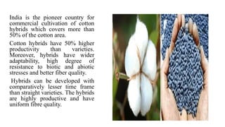 India is the pioneer country for
commercial cultivation of cotton
hybrids which covers more than
50% of the cotton area.
Cotton hybrids have 50% higher
productivity than varieties.
Moreover, hybrids have wider
adaptability, high degree of
resistance to biotic and abiotic
stresses and better fiber quality.
Hybrids can be developed with
comparatively lesser time frame
than straight varieties. The hybrids
are highly productive and have
uniform fibre quality.
 