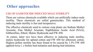 Other approaches
USE OF GAMETOCIDE INDUCED MALE STERILITY
There are various chemicals available which can artificially induce male
sterility. These chemicals are called gametocides. This method of
inducing male sterility is fast and inexpensive.
The effective chemicals used in various crop plants are Sodium Methyl
Arsenate, Zinc Methyl Arsenate, Naphthalene Acetic Acid (NAA),
Gibberellins, Ethrel, Maleic Hydroxide and FW 450.
In cotton, latter two have been effective in inducing male sterility,
maleic hydroxide for upland cotton and FW 450 for arboreum cotton.
Highest pollen sterility has been found to be caused by 1.5% FW 450
applied twice i. e before bud initiation and during bud initiation.
 
