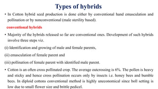 Types of hybrids
• In Cotton hybrid seed production is done either by conventional hand emasculation and
pollination or by nonconventional (male sterility based).
conventional hybrids
• Majority of the hybrids released so far are conventional ones. Development of such hybrids
involve three steps viz.
(i) Identification and growing of male and female parents,
(ii) emasculation of female parent and
(iii) pollination of female parent with identified male parent.
• Cotton is an often cross pollinated crop. The average outcrossing is 6%. The pollen is heavy
and sticky and hence cross pollination occurs only by insects i.e. honey bees and bumble
bees. In diploid cottons conventional method is highly uneconomical since boll setting is
low due to small flower size and brittle pedicel.
 