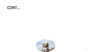 CONT…
42
 
