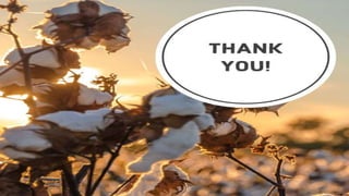 sneha parmar - plant breeding presentation.pptx