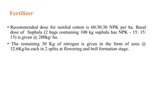 Fertilizer
• Recommended dose for rainfed cotton is 60:30:30 NPK per ha. Basal
dose of Suphala (2 bags containing 100 kg suphala has NPK - 15: 15:
15) is given @ 200kg/ ha.
• The remaining 30 Kg of nitrogen is given in the form of urea @
32.6Kg/ha each in 2 splits at flowering and boll formation stage.
 