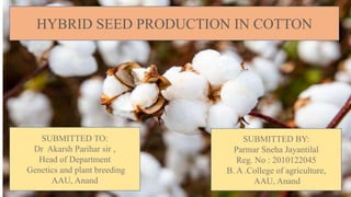 HYBRID SEED PRODUCTION IN COTTON
SUBMITTED TO:
Dr Akarsh Parihar sir ,
Head of Department
Genetics and plant breeding
AAU, Anand
SUBMITTED BY:
Parmar Sneha Jayantilal
Reg. No : 2010122045
B. A .College of agriculture,
AAU, Anand
 