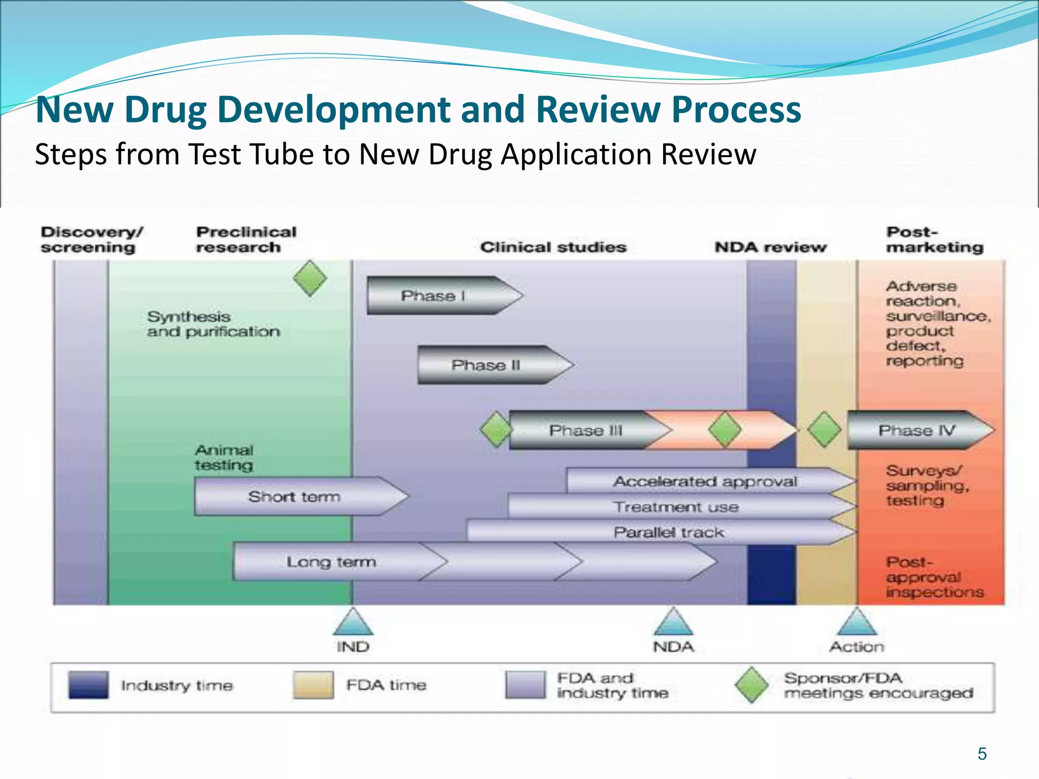New Drug Development and Review Process 
Steps from Test Tube to New Drug Application Review 
5 
 