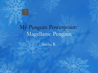 My Penguin Powerpoint:  Magellanic Penguin Sneha R. 