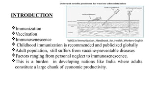 National Vaccination Schedule and Importance of Adult Immunization | PPTX
