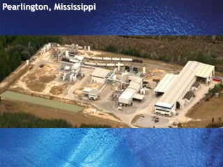 Pearlington, Mississippi