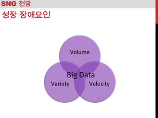 SNG 전망
성장 장애요인
 