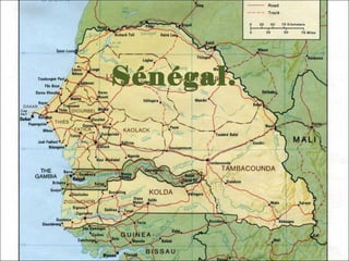 Sénégal. 