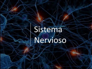 Sistema
Nervioso
 