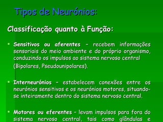 Tipos de Neurónios: Classificação quanto à   Função: Sensitivos   ou   aferentes  – recebem informações sensoriais do meio ambiente e do próprio organismo, conduzindo os impulsos ao sistema nervoso central (Bipolares, Pseudounipolares). Interneurónios  – estabelecem conexões entre os neurónios sensitivos e os neurónios motores, situando-se inteiramente dentro do sistema nervoso central. Motores ou eferentes  – levam impulsos para fora do sistema nervoso central, tais como glândulas e músculos (multipolares). 