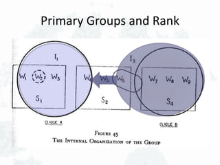 Primary Groups and Rank
 