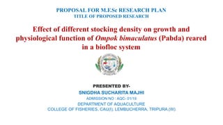 PROPOSAL FOR M.F.Sc RESEARCH PLAN
TITLE OF PROPOSED RESEARCH
Effect of different stocking density on growth and
physiological function of Ompok bimaculatus (Pabda) reared
in a biofloc system
PRESENTED BY-
SNIGDHA SUCHARITA MAJHI
ADMISSION NO : AQC- 01/19
DEPARTMENT OF AQUACULTURE
COLLEGE OF FISHERIES, CAU(I), LEMBUCHERRA, TRIPURA (W)
 