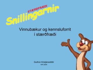 Vinnubækur og kennsluforrit í stærðfræði Guðrún Kristjánsdóttir KHÍ 2004 