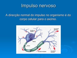 Impulso nervoso
A direcção normal do impulso no organismo é do
          corpo celular para o axónio.
 
