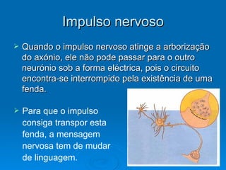 Impulso nervoso
   Quando o impulso nervoso atinge a arborização
    do axónio, ele não pode passar para o outro
    neurónio sob a forma eléctrica, pois o circuito
    encontra-se interrompido pela existência de uma
    fenda.

   Para que o impulso
    consiga transpor esta
    fenda, a mensagem
    nervosa tem de mudar
    de linguagem.
 