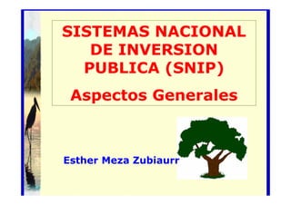SISTEMAS NACIONAL
DE INVERSION
PUBLICA (SNIP)
Aspectos Generales
Éste es el subtítulo

Esther Meza Zubiaurr

 