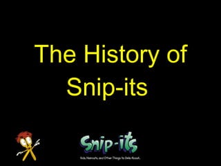AgendaIs Now A Good Time To Go Into Business For Yourself?Why a Franchise?Why The Hair Industry?Why Snip-its?Next Steps