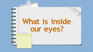 What is inside
our eyes?
 