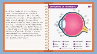 ľkccQc isa
⭲impoíta⭲ta⭲do⭲cor tkc most
complcx sc⭲sc oíga⭲tkat wc k"ma⭲s a
í
c
c⭲dowcd witk. I
tkclps "s i
⭲:is"alizi⭲g
objccts a⭲dalso kclps "s i
⭲ligktpcíccptio⭲,
coloí,a⭲ddcptk pcíccptio⭲.Bcsidcs, tkcsc
sc⭲sc oíga⭲saícpícttQm"ck similaíto camcías, a⭲d
tkcQ kclp "s scc objccts wkc⭲ ligktcomi⭲g
ríomo"tsidc c
⭲
t
c
í
si
⭲
t
otkcm. ľkatbci⭲gsaid,i
t
isq"itc i
⭲
t
c
í
c
s
t
i
⭲
gto "⭲dcísta⭲dtkc stí"ct"íca⭲d
woíki⭲gor a k"ma⭲ cQc. I
tkclps "s also i
⭲
"⭲dcísta⭲di⭲g kow a camcía also actuallQ
functions. Lct’ska:c a gla⭲cc o⭲tkc k"ma⭲
cQc –i
t
’
sstí"ct"íca⭲d r"⭲ctio⭲.
 