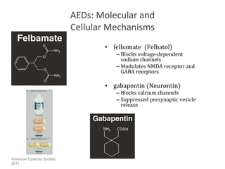 gaba receptors gabapentin